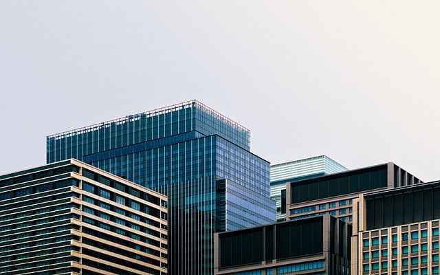 Zoom下载官网到底在哪？给你指个路